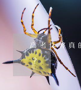高考作弊真的只是新聞寫的那么簡單嗎？